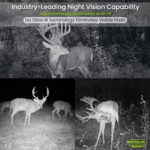 TACTACAM Reveal XB Cellular Trail Camera, No Glow - Verizon & AT&T Reveal 32GB SD Card and Lens Cloth