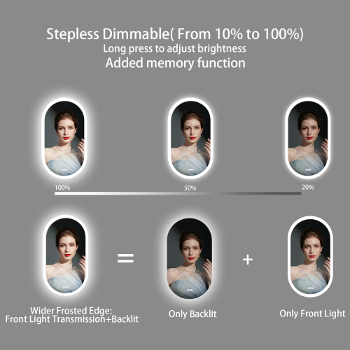 24 x 48 Inch LED Bathroom Mirror with Lights, Oval Anti-Fog Dimmable Wall Mounted Makeup Mirror with Front and Backlit, Modern Vanity Mirror with