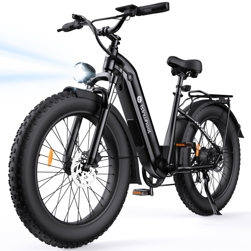 Vélo électrique U8 Ultra d'Iisinwheel pour adultes - Noir