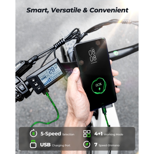 Vélo électrique U8 Ultra d'Iisinwheel pour adultes - Noir