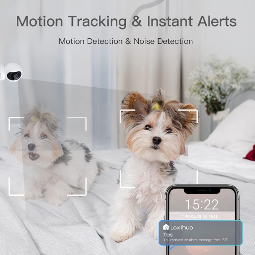 Arenti Laxihub 2K Indoor Security Camera Free Phone App, Works with Alexa - Pack of 2