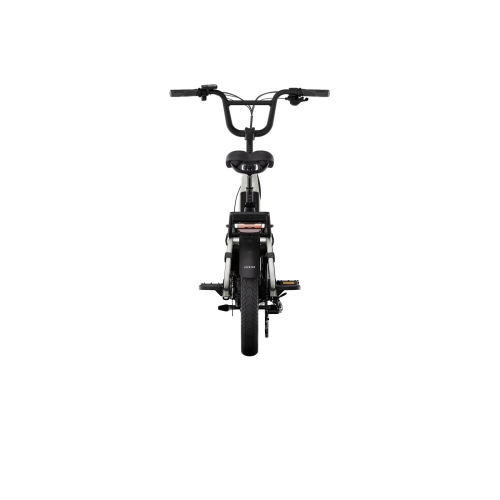 Aventon Abound LR Cargo Ebike | Sage Green | 1088W Peak Power | 40KM/H Top Speed | 96KM Max Range