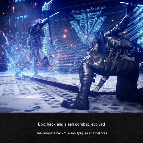 Ninja Gaiden 4 Deluxe Edition