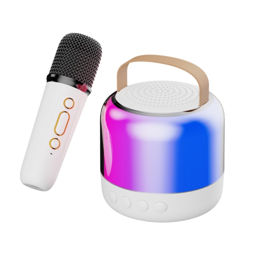 THE WAY  Hot Selling Bluetooth Speaker Portable Mini Karaoke Microphone Speaker Children's Karaoke Home Small Ktv Bluetooth Speaker - Y6 Single