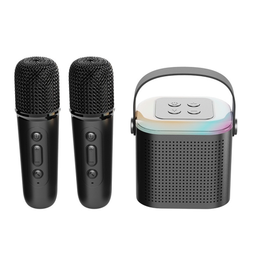 Haut-parleur Bluetooth portatif Mini karaoké Haut-parleur karaoké maison karaoké petit KTV haut-parleur Bluetooth - Y1 microphone double [noir]