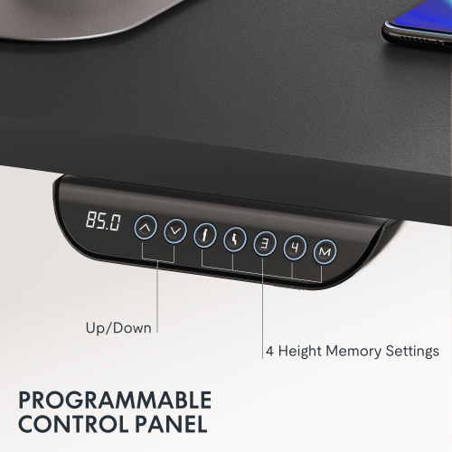 FlexiSpot Dual-Motor 3-Stage Electric Standing Desk with 55x28 Inch Black Desktop and Black Frame Heavy-Duty Height Adjustable Design