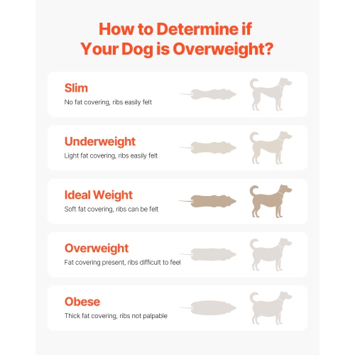 VEVOR 330lbs Capacity Dog Treadmill for Medium Dogs, Dog Running Machine with Adjustable Ramps, 15.5" Runway Dog Pacer Slatmill, Pet Treadmill