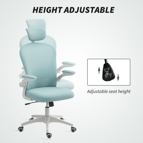Vinsetto High Back Ergonomic Office Chair with Adjustable Headrest, Mesh Computer Desk Chair with Flip-up Armrest, 4D Lumbar Support, Tilt Function,