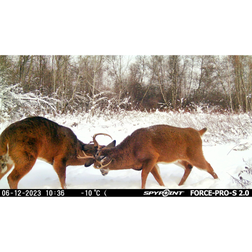 SPYPOINT Force-PRO-S 2.0 Solar Trail Camera, Non-Cellular, Integrated Solar Panel, 0.2S Trigger Speed,110 ft Detection Range, 4K/2K/1080p Video