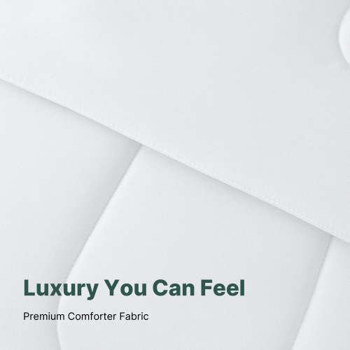 Beddora 5-Piece Bed in a Bag – Includes Comforter, 2 Shams, Decorative Cushion & Square Cushion – Ultra-Soft, All-Season Bedding – Queen – Bright