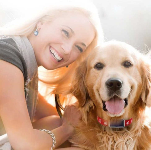 Pet Locator GPS Tracker Cat and Dog Anti-lost Tracking Collar Waterproof Beidou Hound Monitor Removable Anti-lost Collar GPS Tracker, Fully