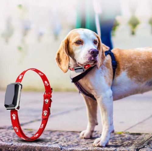 Pet Locator GPS Tracker Cat and Dog Anti-lost Tracking Collar Waterproof Beidou Hound Monitor Removable Anti-lost Collar GPS Tracker, Fully