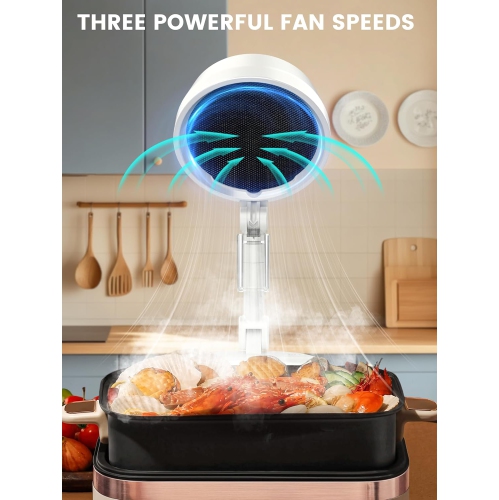 Purificateur d'air et ventilateur pour l'intérieur, Filtre éliminateur d'odeurs portatif rechargeable, Ventilateur pliable pour le bureau