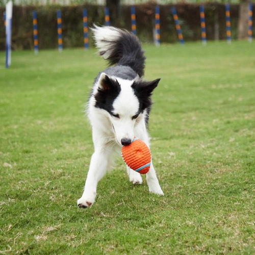 Squeaky Dog Chew Toy for Interactive Training, Fetch and Play, Orange Football -