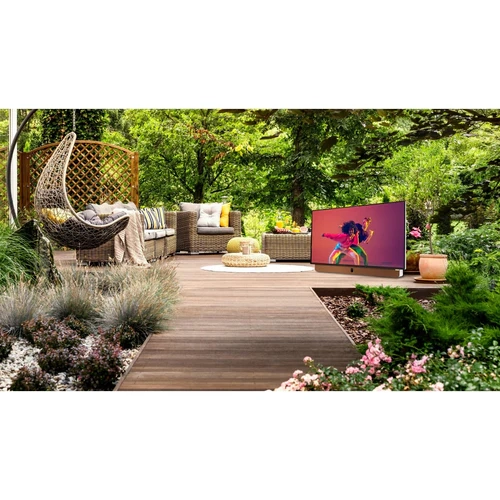 Companion Portable™ 24P100 LED Display | Google TV OPEN BOX 10/10