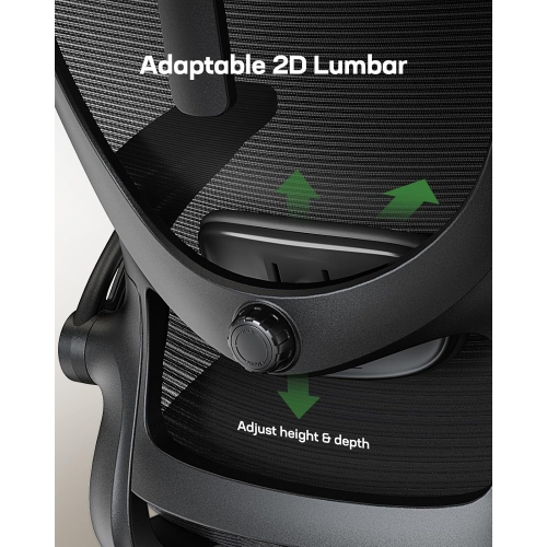 HUANUO Ergonomic High Back Office Chair with Adjustable Lumbar Support, Headrest, Flip-Up Armrests, Mesh Back, Supportive Cushion Perfect for Home &