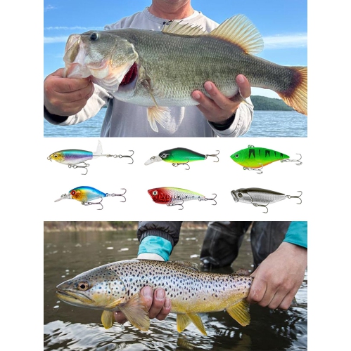 311 appâts souples petit poisson appât bionique grosse barbe mâle sequin coffret de pêche avec boîte d'accessoires de pêche - 311 pièces combinaison