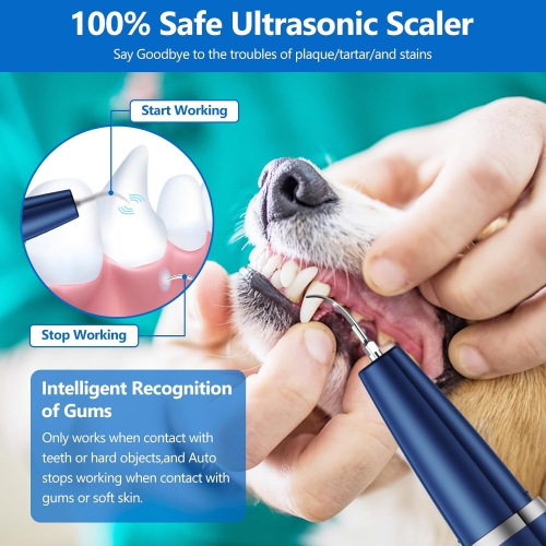 Dog Plaque Remover for Teeth,Pet Ultrasonic Tooth Cleaner,Teeth Cleaning Kit,Tartar Removal Tools for Teeth Stains for Dogs and Cats