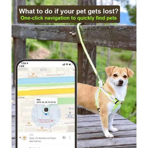 Global positioning pet locator, Android IOS universal cat and dog tracking anti-lost artifact, smart pet tracker - black