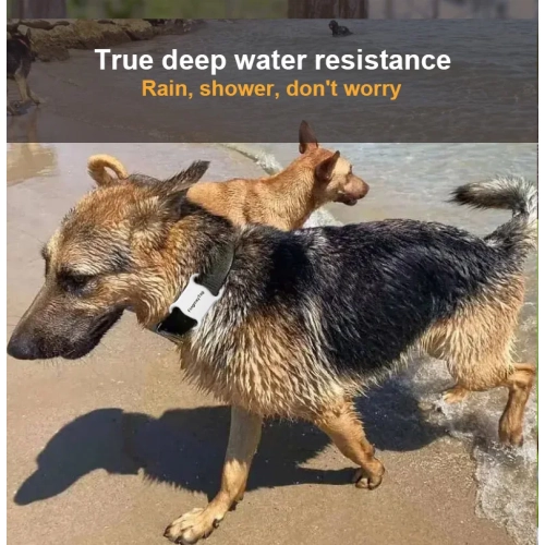 Global positioning pet locator, Android IOS universal cat and dog tracking anti-lost artifact, smart pet tracker - black