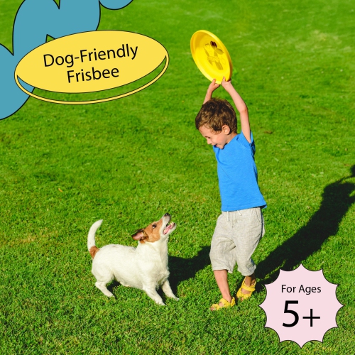 Wham-O Frisbee Fastback Flying Disc, 9.35 Inch Dog-friendly Lightweight Toy for Professional Players - 100g
