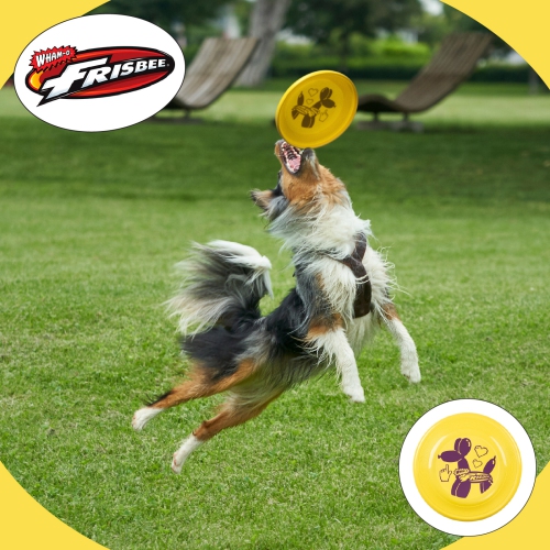 Wham-O Frisbee Fastback Flying Disc, 9.35 Inch Dog-friendly Lightweight Toy for Professional Players - 100g