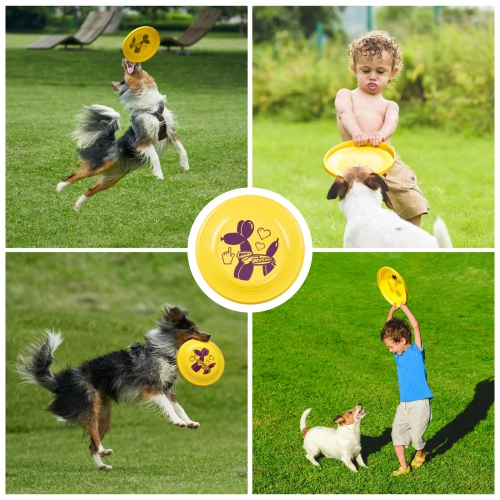 Wham-O Frisbee Fastback Flying Disc, 9.35 Inch Dog-friendly Lightweight Toy for Professional Players - 100g