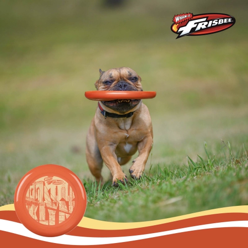 Wham-O Frisbee Cool Flyer Flying Disc, 9.95 Inch Lightweight Toy Outdoor Beach Park Backyard Game - 130g