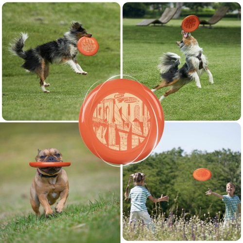 Wham-O Frisbee Cool Flyer Flying Disc, 9.95 Inch Lightweight Toy Outdoor Beach Park Backyard Game - 130g