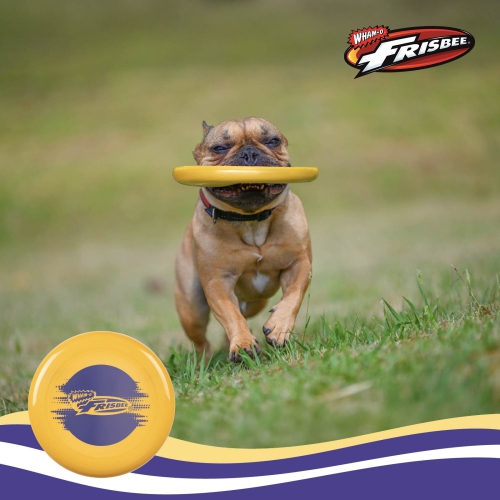 Wham-O Frisbee Cool Flyer Flying Disc, 9.95 Inch Lightweight Toy Outdoor Beach Park Backyard Game - 130g