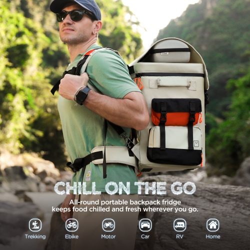 Litheli 12V Car Refrigerator, 21QT/20L Portable Freezer, -4-68℉, Battery Powered Cooler, DC 12/24V AC 110/240V, 55W Electric Cooler for camping, Road