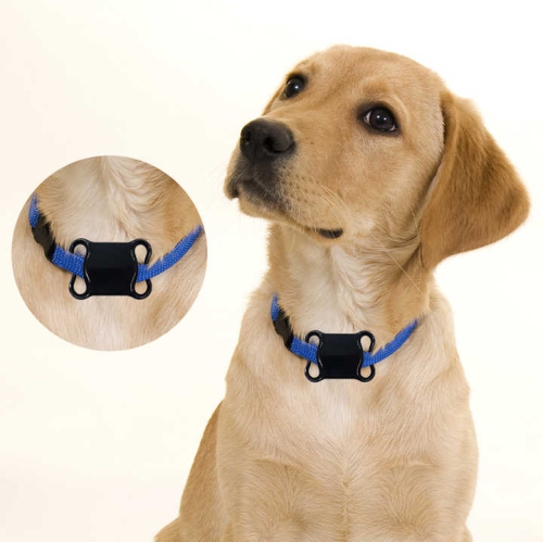 Nouveau localisateur intelligent d'animaux de compagnie iOS GPS universel et positionnement universel Android Positionnement mondial de l'appareil