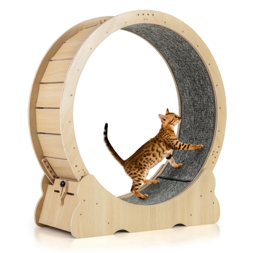 Gymax Cat Exercise Wheel w/ Carpet & Lockable Mechanism Non-slip Wide Base Wide Base