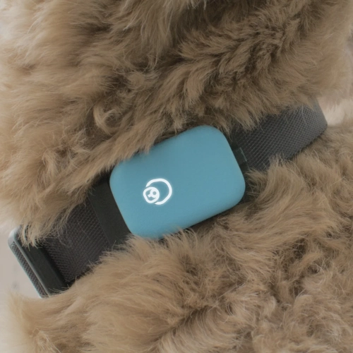 Queva – Moniteur d'activité intelligent pour chien Health+Behavior V1, rose