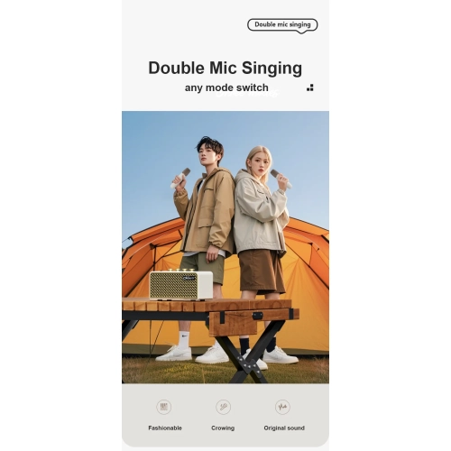 Karaoke wireless Bluetooth microphone and speaker all-in-one, portable outdoor home KTV retro speaker - Yunyan white speaker + dual microphone