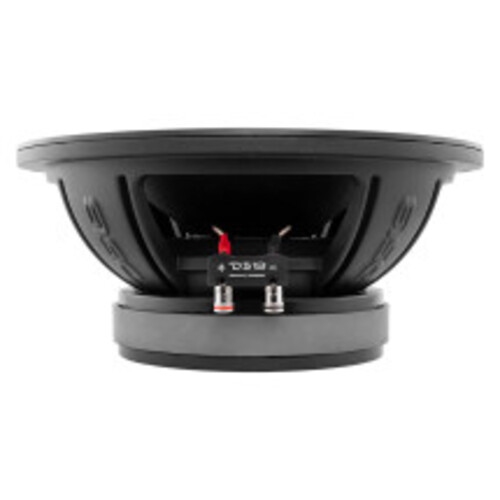 Haut-parleur médian graves 10&nbsp;po DS18 PRO-ZXI10MBASS avec aimants néodyme/ferrite 500&nbsp;W RMS - 8&nbsp;Ohm
