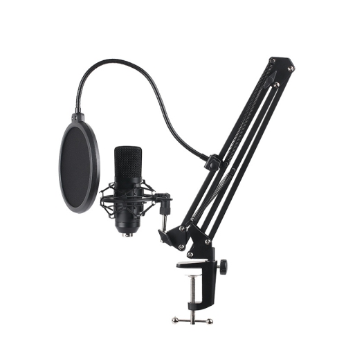 THE WAY  USB Computer Microphone Ps4 Live Broadcast Condenser Mic Novel Video Sound Card Radio Dubbing Microphone, Studio Equipment Podcast - Bm700