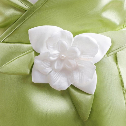 Costume d'Halloween habillé pour anniversaire de fête d'anniversaire avec accessoires Grenouille Princesse de Daisy pour petites filles Taille 8-10,