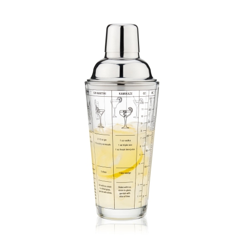 True Glass Cocktail Shaker with Cocktail Recipes, Clear Glass Shaker with Strainer, 13.5 oz