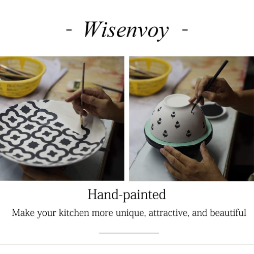 Wisenvoy Dinnerware Sets Plates and Bowls Sets Ceramic Dish Set Plate Set Stoneware Dinnerware Set Dishes Set for 4