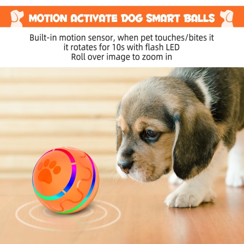 Balle de chien interactive de Zachvo avec lampes flash LED pour petits chiens de taille moyenne, balle Wicked Ball à activation par mouvement