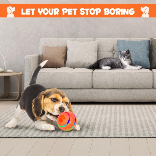 Balle de chien interactive de Zachvo avec lampes flash LED pour petits chiens de taille moyenne, balle Wicked Ball à activation par mouvement