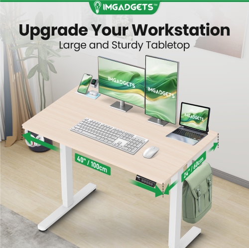 IMGadgets Standing Electric Adjustable Desk with FREE Power Strip | 40'' x 24'' Large Workspace with 2 hooks | Ergonomic Sit-Stand Desk | 3-Memory