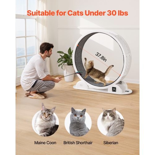 VEVOR 40.8 in Cat Exercise Wheel with Pedometer, with Brake & Carpeted Runway, Quiet Cat Treadmill for Indoor Cats Under 30lbs, Cat Exerciser for