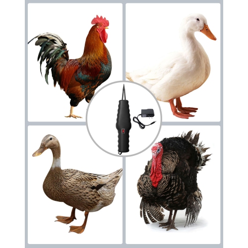 Handheld Electric Feather Plucker, Portable Poultry Plucking Machine for Chicken, Duck, Goose, and Other Birds
