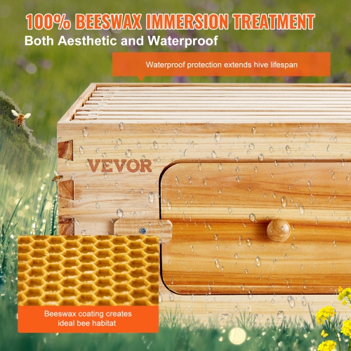 VEVOR Bee Hive Medium Box Starter Kit, 100% Beeswax Coated Natural Cedar Wood, Langstroth Beehive Kit with 10 Frames and Foundations, Transparent