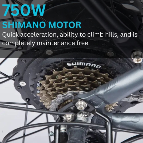 Bluerev Warrior E-Bike – 750W Motor, 17.5Ah Battery – Long-Range All-Terrain Electric Bike with Superior Stability.