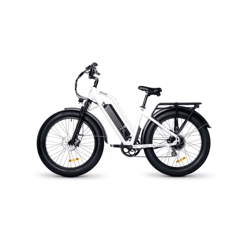 Nomad E-Bike| Powerful 750W Motor with Fat Tire Electric Bike with 17.5Ah Samsung Battery| Range Up to 97Kms|Rugged and Comfortable Ride for Trails