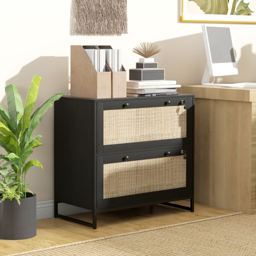 Kepooman Boho Lockable 2 Drawer File Cabinet Adjustable Bar for Letter A4 Legal Size Black Office Storage