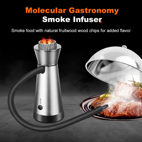Fumoir Infuser Molecular Cuisine Fumeur Arôme ajouté Portable pour barbecue à la viande Cocktails Outils de cuisine